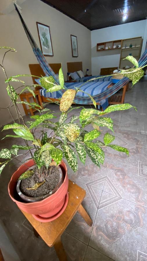 Poseidon Guest House Iquitos Extérieur photo