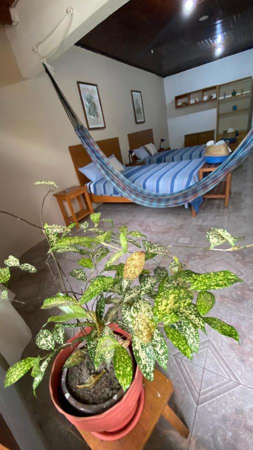 Poseidon Guest House Iquitos Extérieur photo
