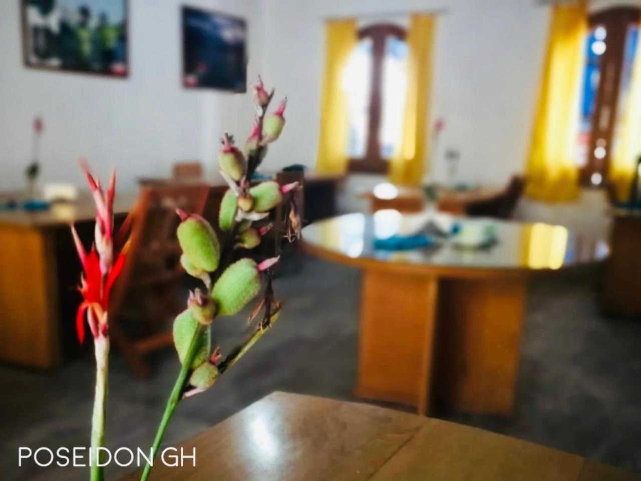 Poseidon Guest House Iquitos Extérieur photo